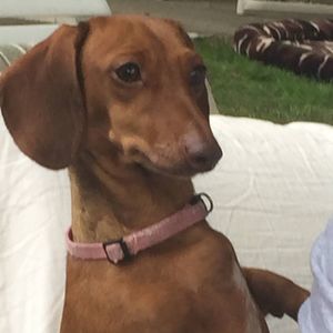 Meet your Posher, Tami